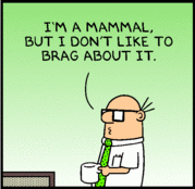 dil_01-06-09.gif