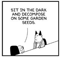 dil_1_061907b.gif