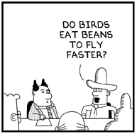 dil_1_77894.gif