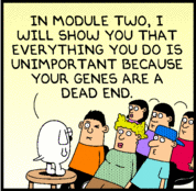dilbert_070808.gif