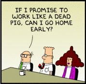 dilbert_11-24-08.gif