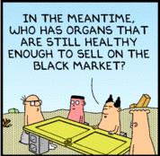 dilbert_11-29-08.gif